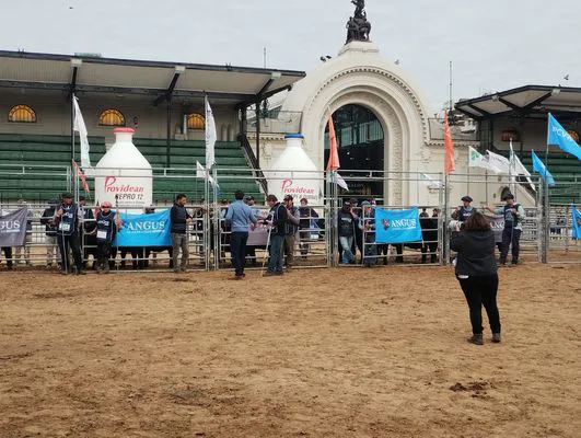 tn_IMG_20250521_115408024