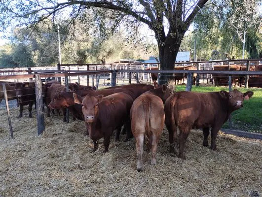 tn_IMG_20240501_163340101