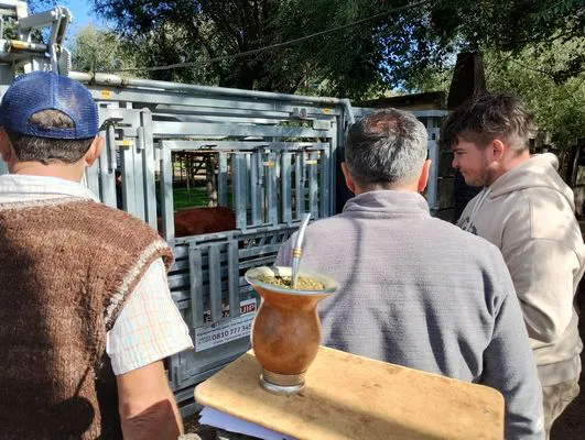 tn_IMG_20240501_112511828_HDR