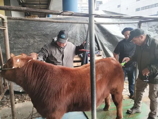 tn_IMG_20250520_110246253