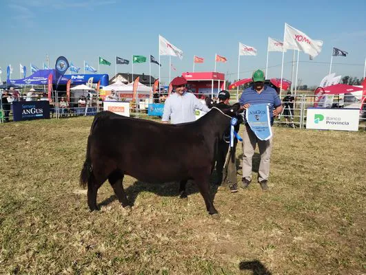 tn_IMG_20240918_160914910