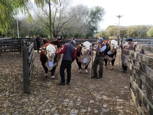 tn_IMG_20240530_142206138