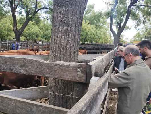 tn_IMG_20250404_155011685