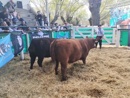 tn_IMG_20240907_150452945