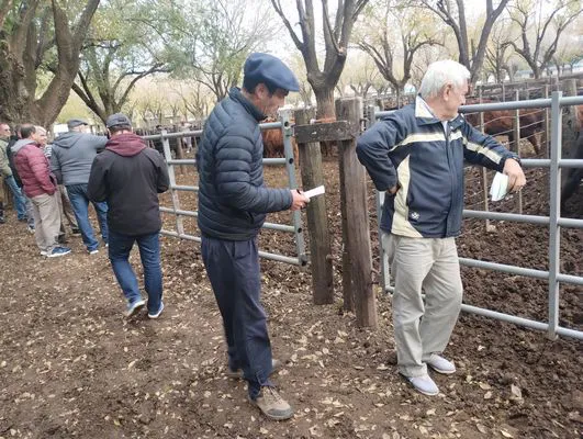 tn_IMG_20250602_161928179