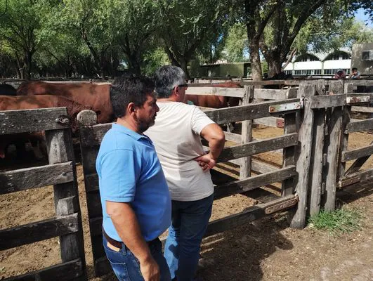 tn_IMG_20250220_154847852