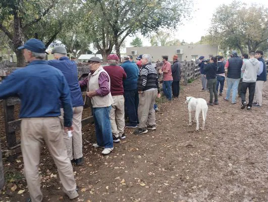 tn_IMG_20250425_160303901