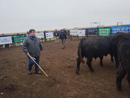 tn_IMG_20240806_105637437