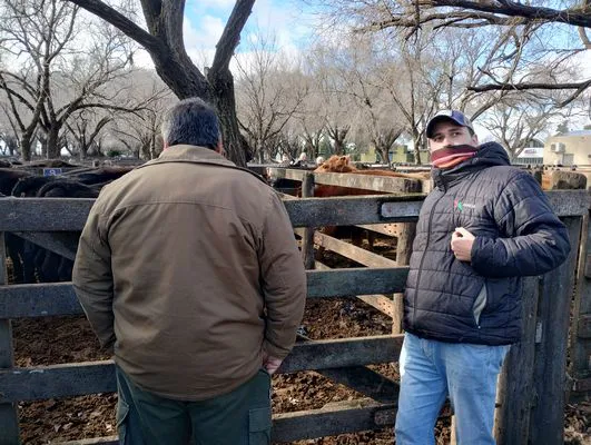 tn_IMG_20240628_144131991_HDR