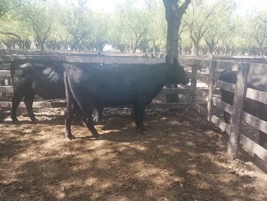 tn_IMG_20250220_150729364