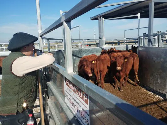 tn_IMG_20250604_143008086