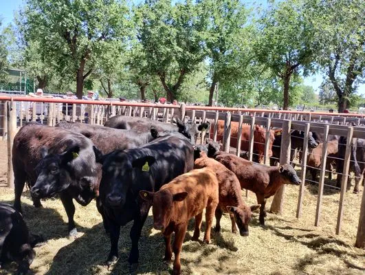 tn_IMG_20241026_115545409_HDR