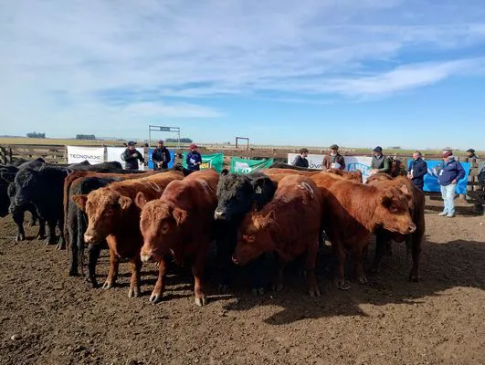 tn_IMG_20240611_122529660_HDR1