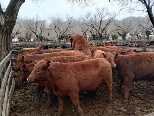 tn_IMG_20240626_112945063_HDR