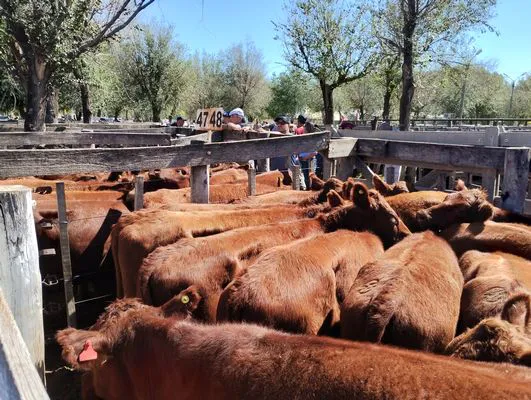 tn_IMG_20240406_131738950_HDR