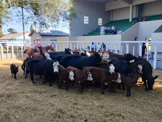 tn_IMG_20240214_171307518_HDR