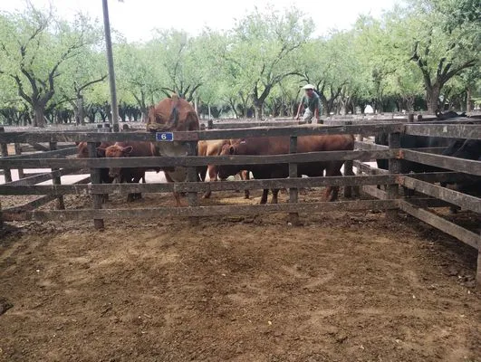 tn_IMG_20250116_153420860