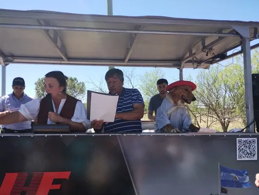 tn_IMG_20241026_120221873