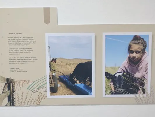 tn_IMG_20241015_185426533