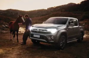CAMPANA-VW-300x196