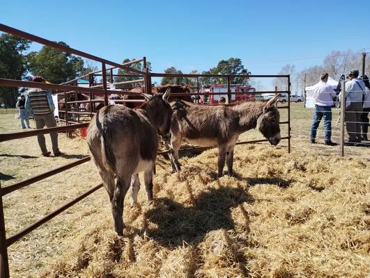 tn_IMG_20240908_124040851