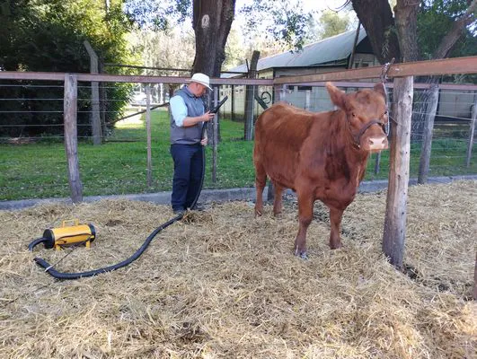 tn_IMG_20240502_152604404