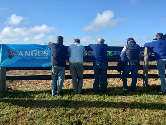 tn_IMG_20250409_100855226_HDR