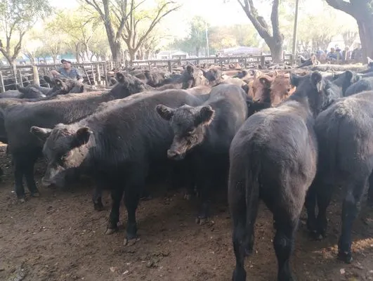 tn_IMG_20250425_162518448