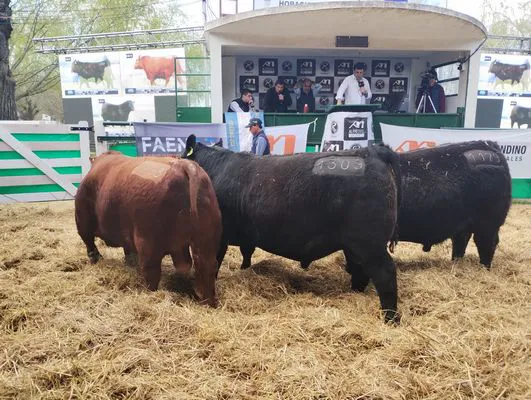 tn_IMG_20240907_152632541