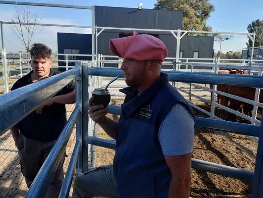 tn_IMG_20250604_144521686_HDR