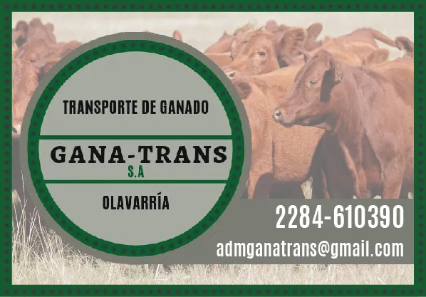 gana trans