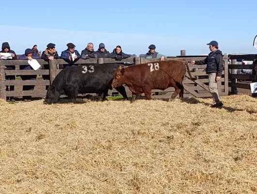 J14