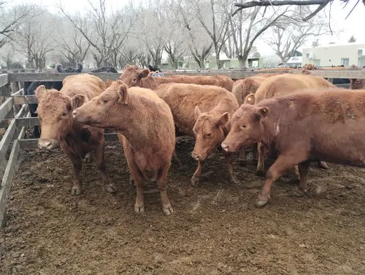 tn_IMG_20240731_112948285