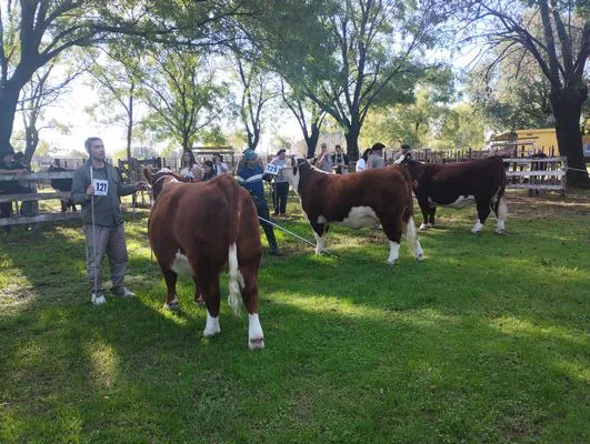 tn_IMG_20250508_151750977