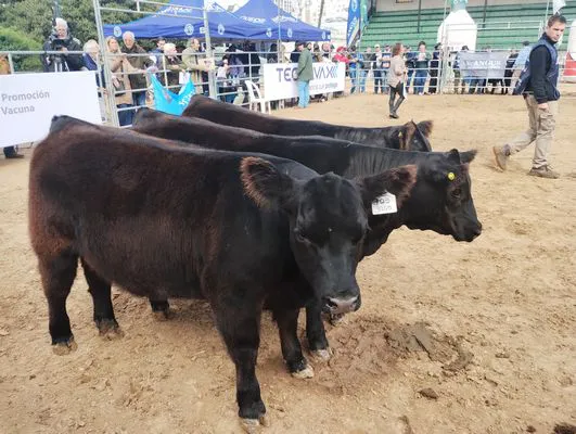 tn_IMG_20250521_121957474