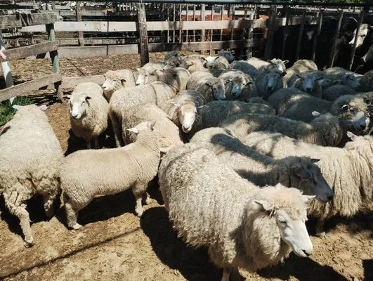 tn_IMG_20241129_142248410_HDR