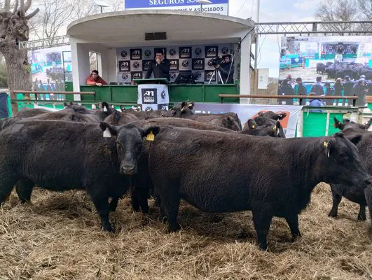 tn_IMG_20240625_161814190_HDR