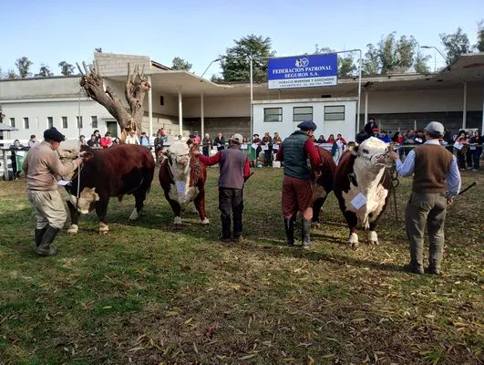 tn_IMG_20240530_144431151_HDR