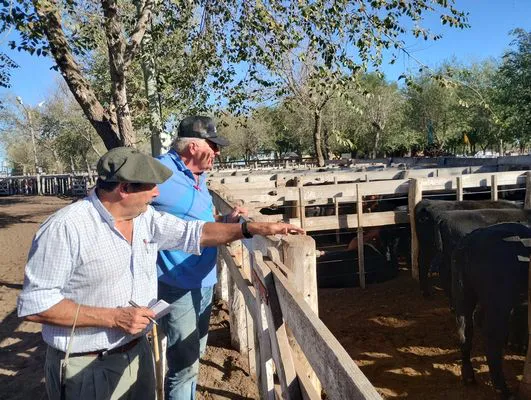 tn_IMG_20240405_165427491_HDR