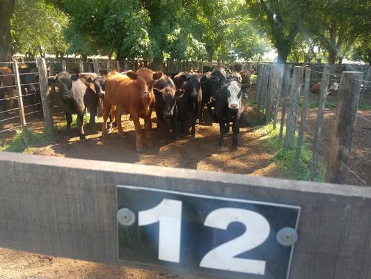 tn_IMG_20231213_094945019