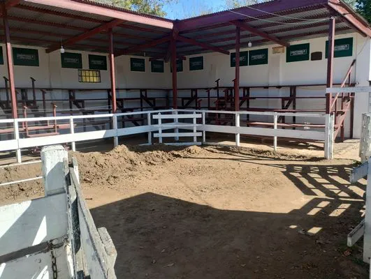 tn_IMG_20250430_120902143_HDR