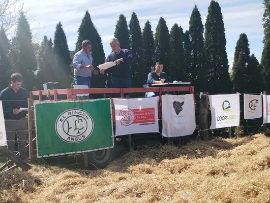 tn_IMG_20240924_150044618