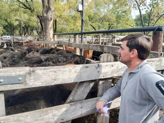 tn_IMG_20250514_130616634_HDR