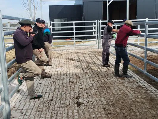 tn_IMG_20250604_122354910