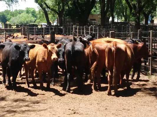 tn_IMG_20231213_125543076