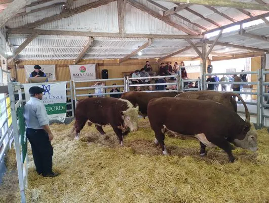 tn_IMG_20240906_143713666