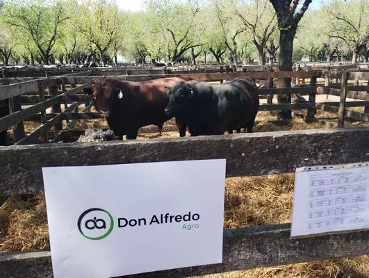 tn_IMG_20241008_144801265