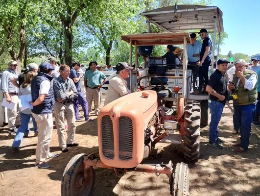 tn_IMG_20241026_111241386_HDR