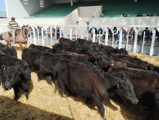 tn_IMG_20240828_125129673_HDR