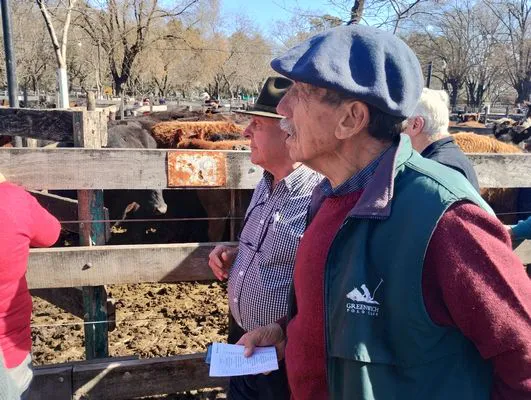 tn_IMG_20240829_144549890_HDR